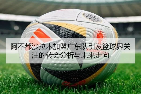 阿不都沙拉木加盟广东队引发篮球界关注的转会分析与未来走向